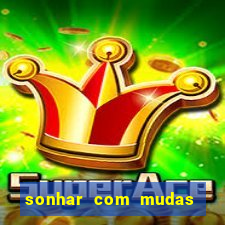 sonhar com mudas de plantas